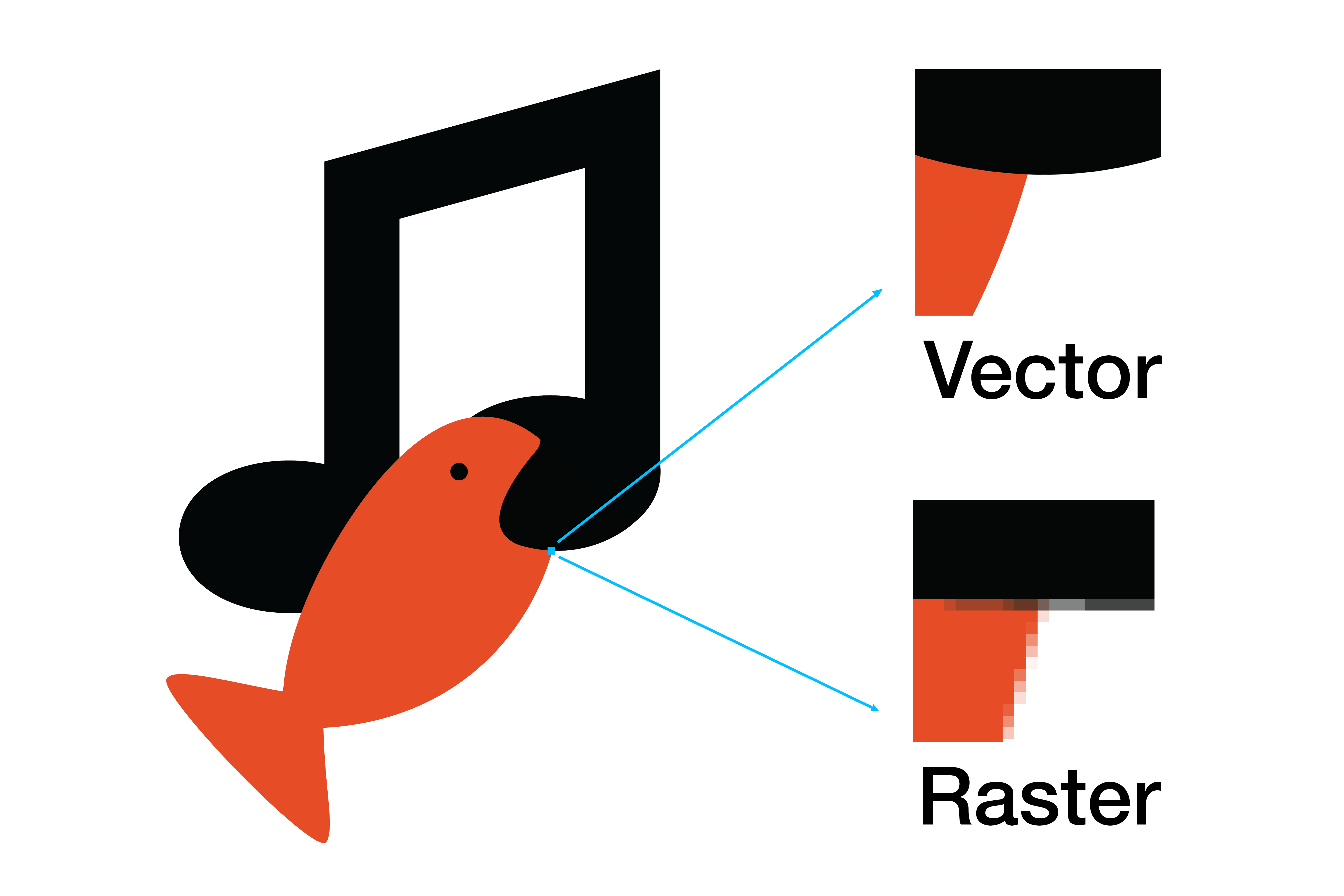 vector or raster